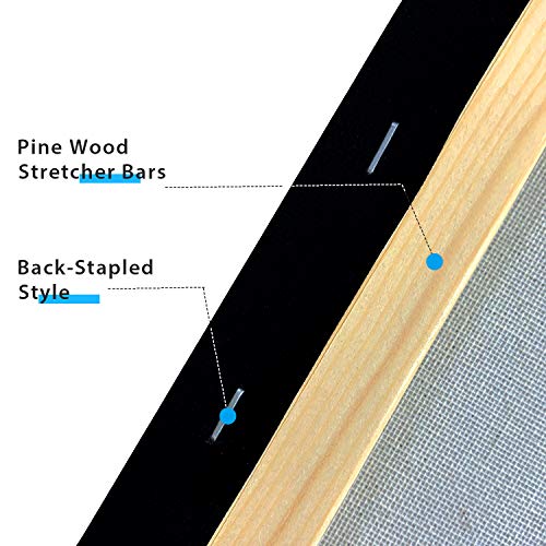 PHOENIX Black Painting Stretched Canvas - 11x14 Inch/4 Pack - 3/4 ...