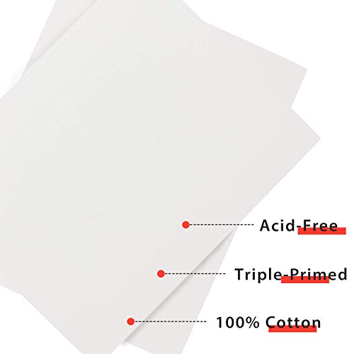 PHOENIX Painting Canvas Panel Boards - 11x14 Inch / 12 Pack - 1/8 ...