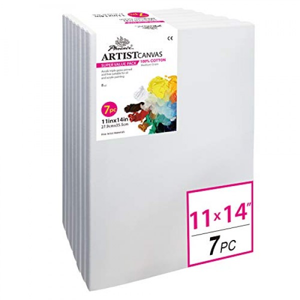 conda 8x10 inch Stretched Canvas for Painting, Pack of 10, 100% Cotton, 5/8  in Profile Blank Stretched Canvas Value Bulk Pack Art White Canvas for