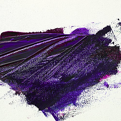PHOENIX Pre Stretched Canvas for Painting - 8x10 Inch / 10 Pack - ...