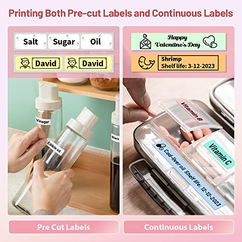 Phomemo Label Maker Machine, D30 Portable Bluetooth Label Printer ...
