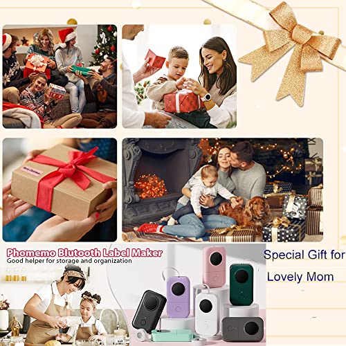 Phomemo Label Makers for Small Business, D30 Label Maker Machine w...