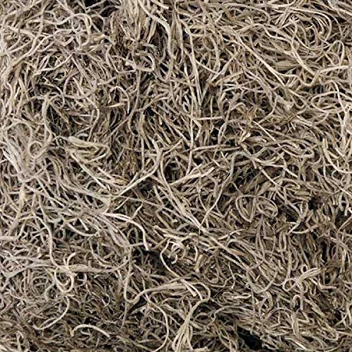 Fresh Spanish Moss 2.5 pounds