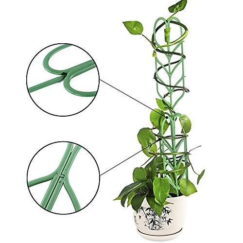 pinnacleT1 DIY Garden Trellis Climbing Plants,14x4 Potted Vines ...