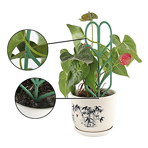 pinnacleT1 DIY Garden Trellis Climbing Plants,14x4 Potted Vines ...