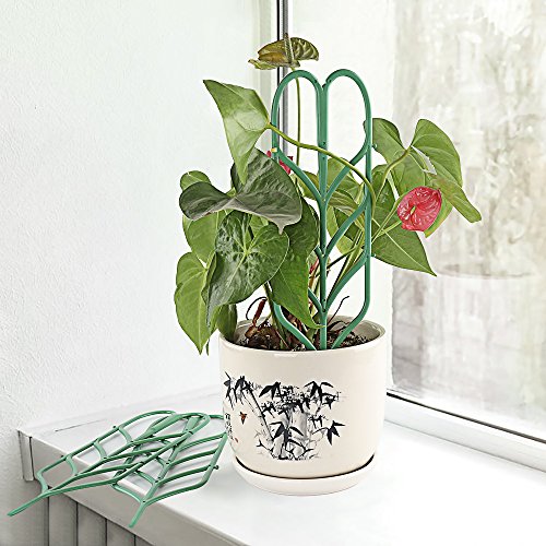 pinnacleT1 DIY Garden Trellis Climbing Plants,14x4 Potted Vines ...