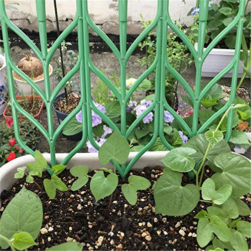 pinnacleT1 DIY Garden Trellis Climbing Plants,14x4 Potted Vines ...