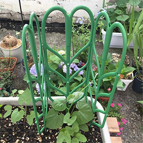 pinnacleT1 DIY Garden Trellis Climbing Plants,14x4 Potted Vines ...