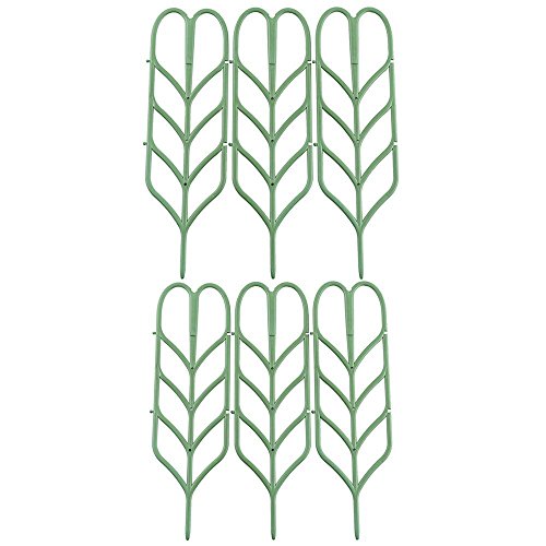 pinnacleT1 DIY Garden Trellis Climbing Plants,14x4 Potted Vines ...