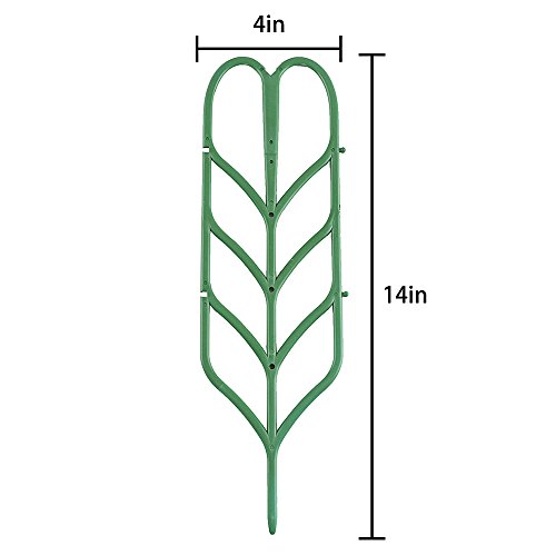 pinnacleT1 DIY Garden Trellis for Climbing Plants,14x4 Potted Vi...