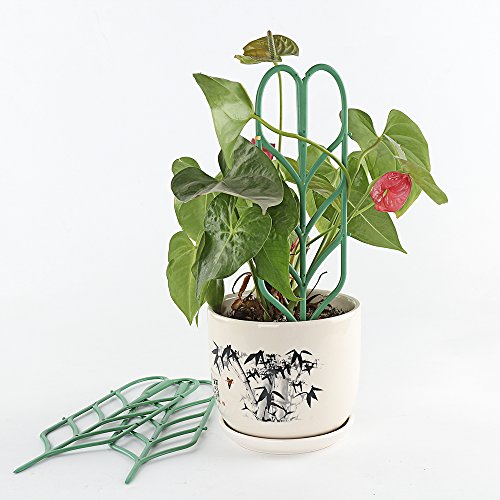pinnacleT1 DIY Garden Trellis for Climbing Plants,14x4 Potted Vi...
