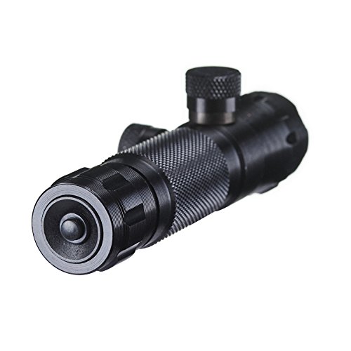 Pinty Hunting Rifle Green Laser Sight Dot Scope Adjustable with Mo...