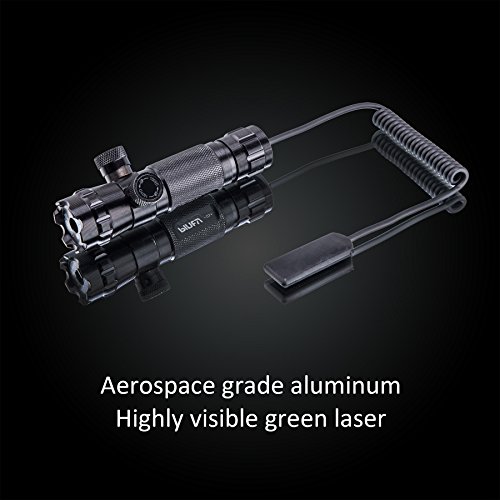 Pinty Hunting Rifle Green Laser Sight Dot Scope Adjustable with Mo...