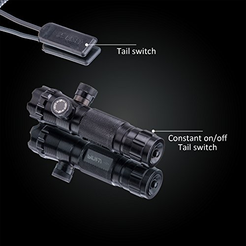 Pinty Hunting Rifle Green Laser Sight Dot Scope Adjustable with Mo...