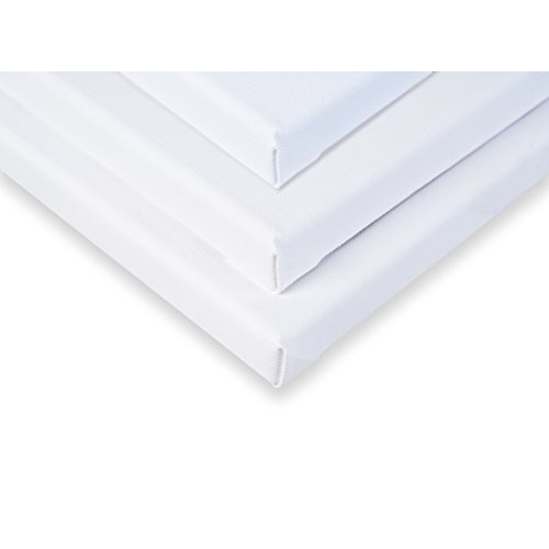 30x30 inch 3 Pack 3/4 Pre Stretched Canvas for Painting. 11 oz Po...