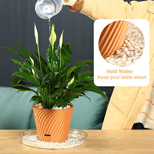 20 Pack Clear Plastic Plant Saucers 6 inch Drip Trays Plant Plat...
