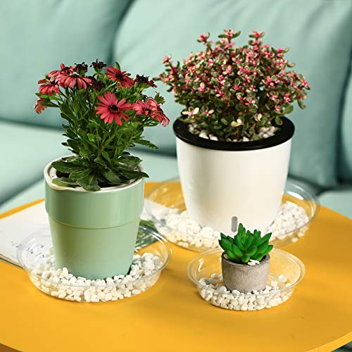 20 Pack Clear Plastic Plant Saucers 6 inch Drip Trays Plant Plat...