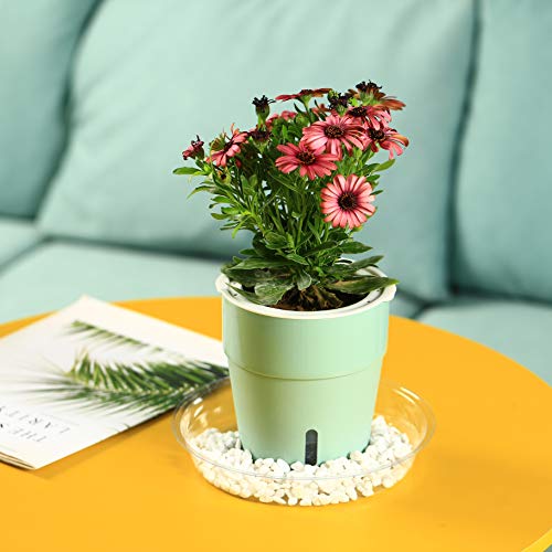20 Pack Clear Plastic Plant Saucers 6 inch Drip Trays Plant Plat...