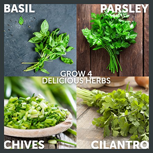 Planters Choice Organic Herb Growing Kit + Herb Grinder - Complet...