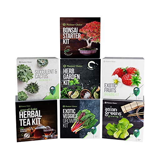 Planters Choice Organic Herb Growing Kit + Herb Grinder - Complet...