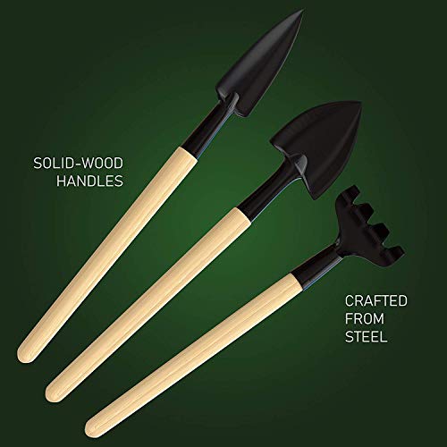 Premium Bonsai Tool Kit + Bonsai 101 Book - Set Includes: Wooden R...