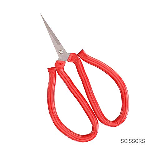 Premium Bonsai Tool Kit + Bonsai 101 Book - Set Includes: Wooden R...