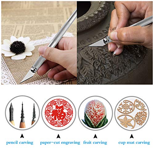 PLANTIONAL Craft Weeding Tools for Vinyl: 18 PCS Craft Basic Set T...