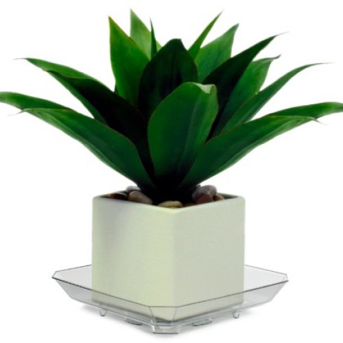 Plastec SQRO8 Square Recycled Plant Saucer, 8-Inch - SQR08