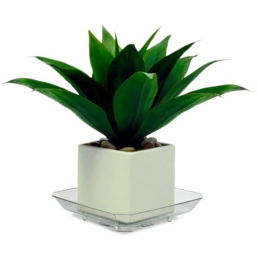 Plastec SQRO8 Square Recycled Plant Saucer, 8-Inch - SQR08
