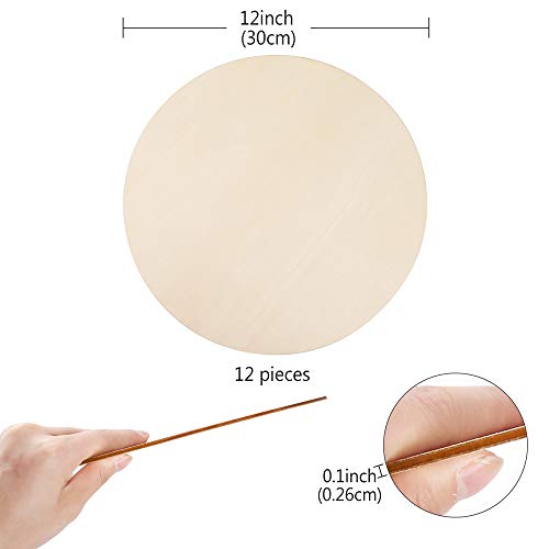 Pllieay 12 Pieces 12 Inch Unfinished Round Wood Slices, Wooden Cir...