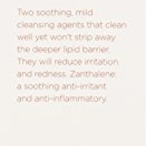 PMD Soothing Antioxidant Cleanser