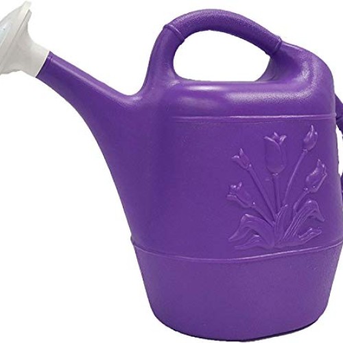 PMU 2 Gallon Watering Can - Purple 1/Pkg Pkg/1