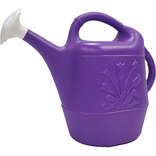 PMU 2 Gallon Watering Can - Purple 1/Pkg Pkg/1