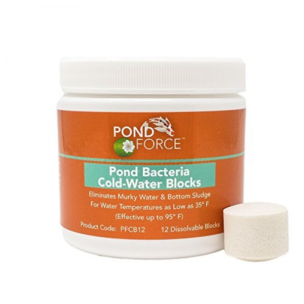 Pond Force Pond Bacteria Cold Water Blocks Treats 12000 Gallons