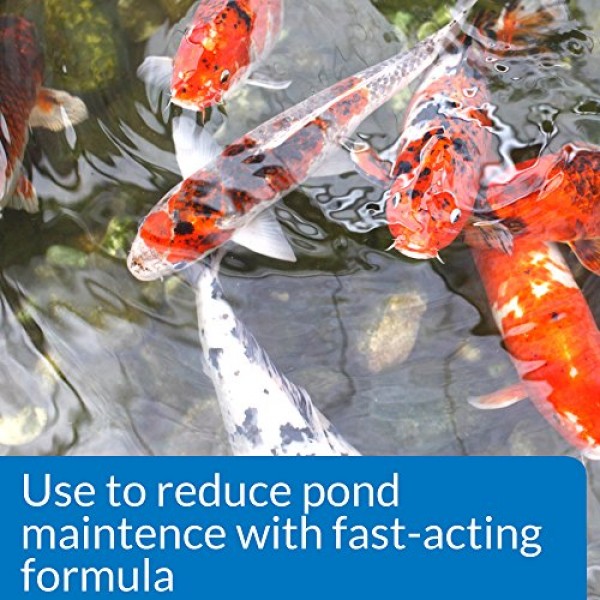 PondCare Simply-Clear Fast Acting Bacterial Pond Clarifier 16 oz.