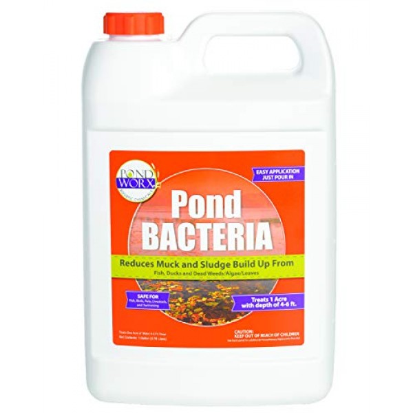 PondWorx Pond Bacteria - Formulated for Large Ponds, Water Feature...