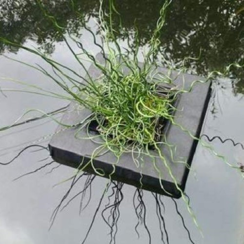 Floating Planter Square 10 25cm, Water Garden Pond Aquatic Plan...