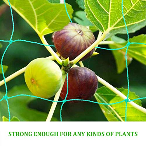 Ponwec Heavy-Duty Garden Plant Trellis Netting Flexible Elastic Pl...