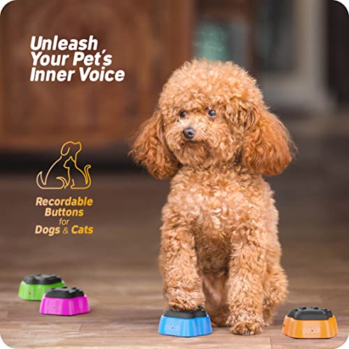 PawTalk Recordable Dog Buttons - Talking Buttons for Pet Communica...