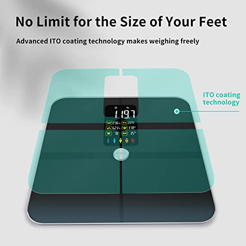 Body Fat Scale, Posture Extra Large Display Digital Bathroom Wirel...