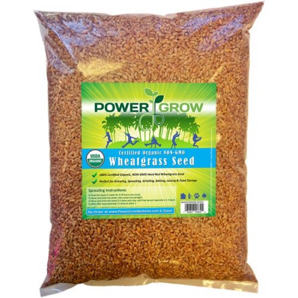 Certified Organic Non-GMO Wheatgrass Seeds - 5 Pounds Wheat Seed -...