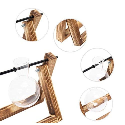 Plant Terrarium Wooden Stand, Desktop Glass Planter Bulb Vase with...