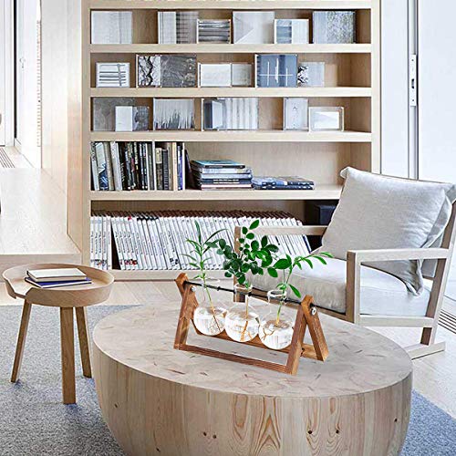 Plant Terrarium Wooden Stand, Desktop Glass Planter Bulb Vase with...