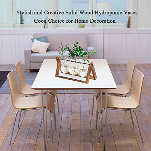 Plant Terrarium Wooden Stand, Desktop Glass Planter Bulb Vase with...
