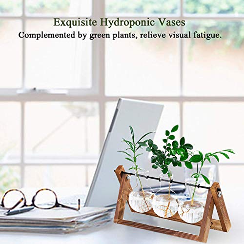 Plant Terrarium Wooden Stand, Desktop Glass Planter Bulb Vase with...
