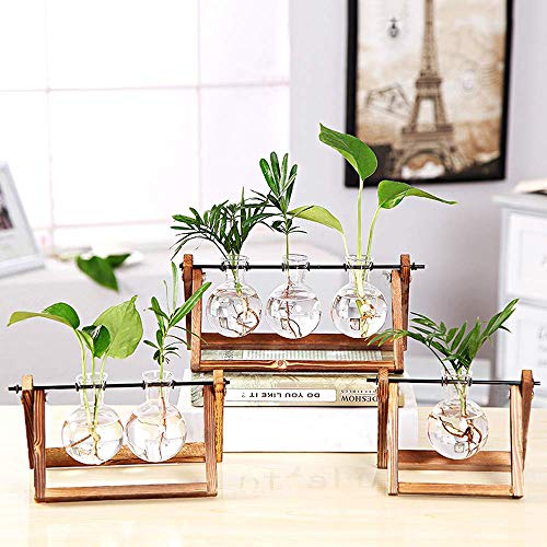 Plant Terrarium Wooden Stand, Desktop Glass Planter Bulb Vase with...