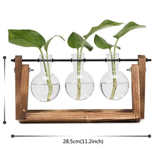 Plant Terrarium Wooden Stand, Desktop Glass Planter Bulb Vase with...