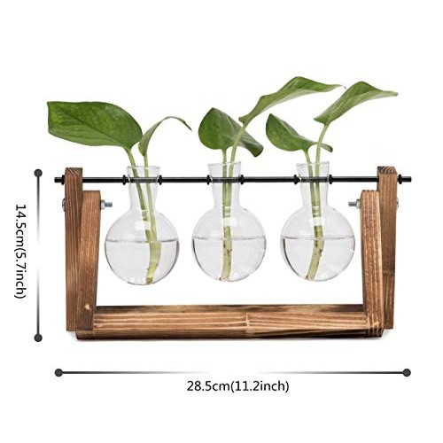 Plant Terrarium Wooden Stand, Desktop Glass Planter Bulb Vase with...