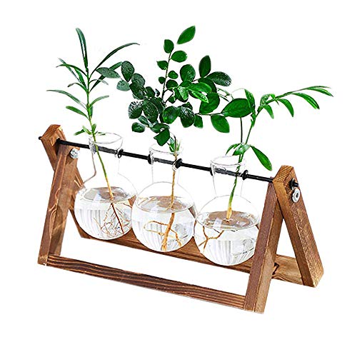 Plant Terrarium Wooden Stand, Desktop Glass Planter Bulb Vase with...