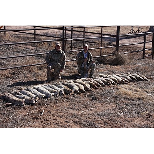 Predator Quest - Ruffidawg Junior - Les Johnson - Predator Call - ...